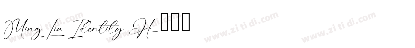 MingLiu Identity H字体转换
